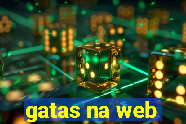 gatas na web